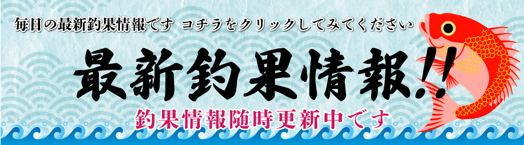 最新釣果情報